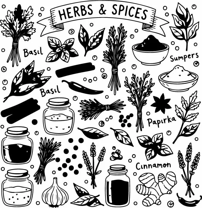 Assorted Culinary Cooking Herbs And Spices Doodle Set Free Vector