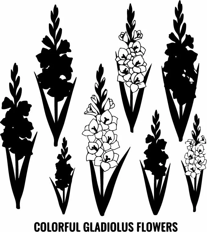 Stylized Pine Trees And Conifer Botanical Silhouettes Free Vector