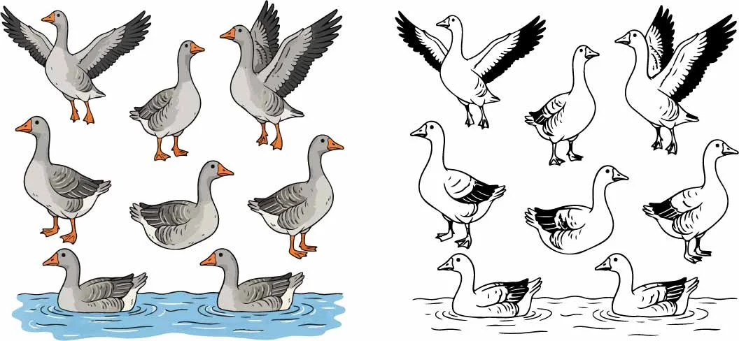 Wild Geese And Flying Ducks Wildlife Sketch Set Free Vector
