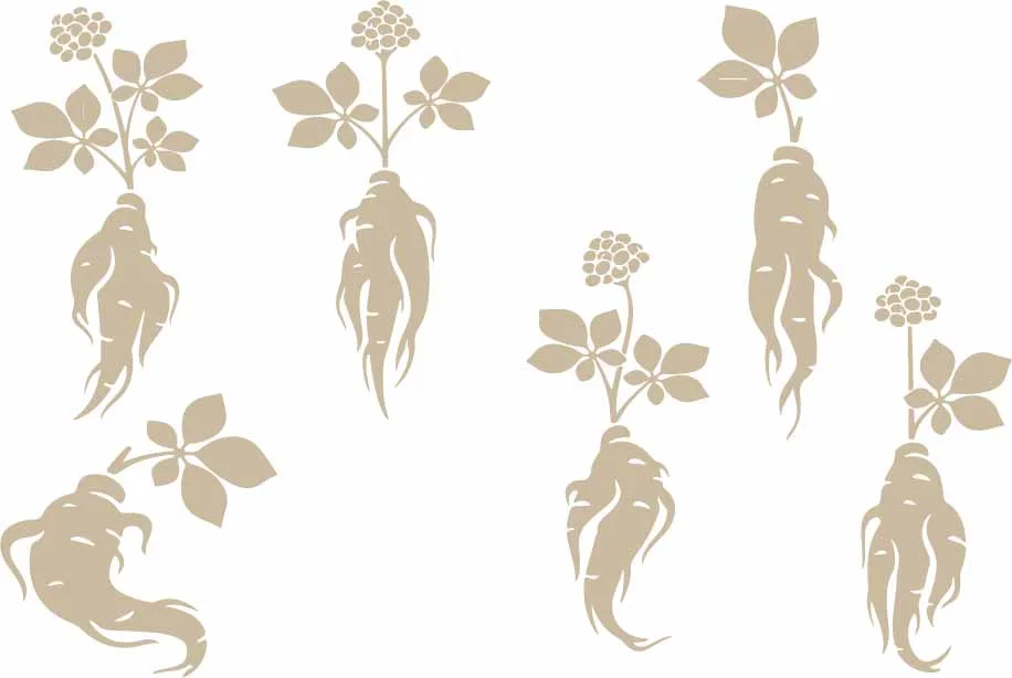 Ginseng Root And Medicinal Herbs Botanical Free Vector