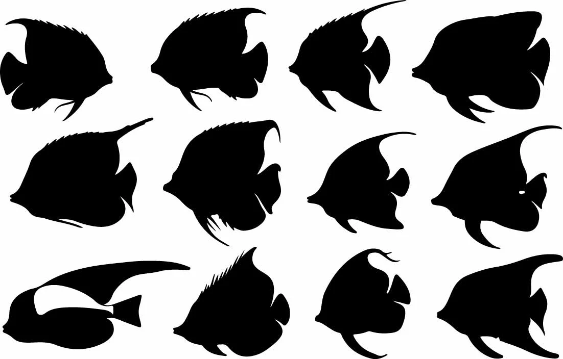 Exotic Saltwater Angelfish Swimming Pattern Free Vector