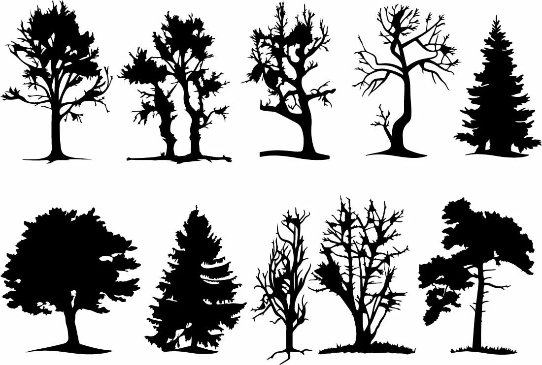 Forest Evergreen And Deciduous Trees Silhouette Free Vector