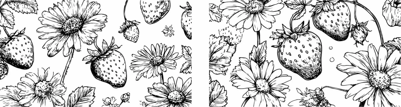 Hand Drawn Chrysanthemum And Daisy Floral Sketches Free Vector