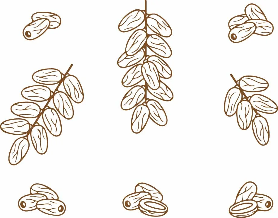 Sweet Date Palm Fruit Botanical Pattern Free Vector