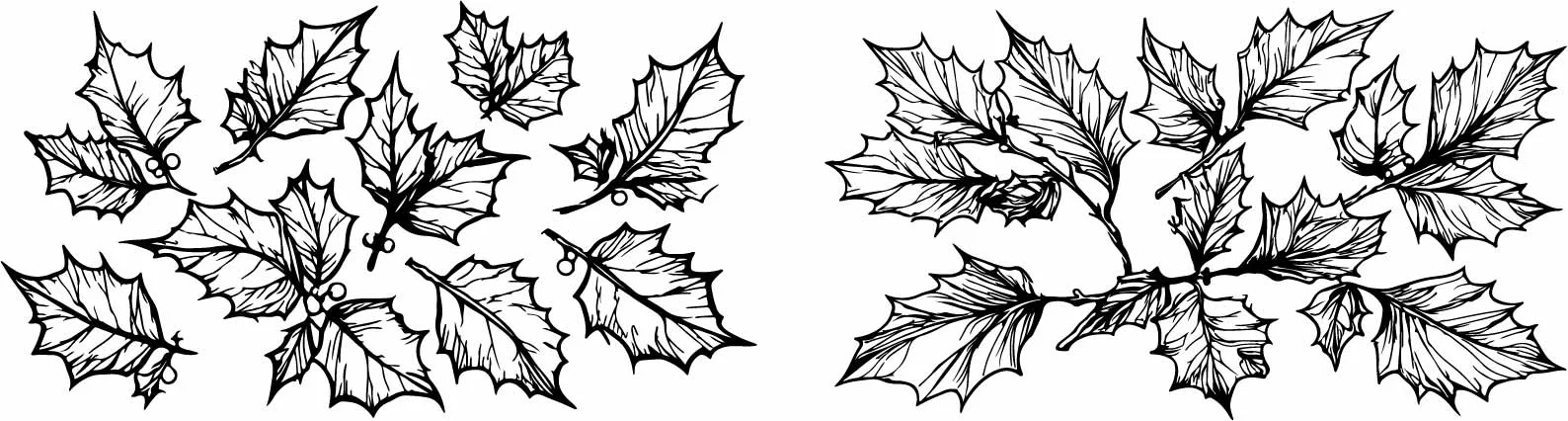 Autumn Foliage And Maple Leaves Botanical Set Free Vector