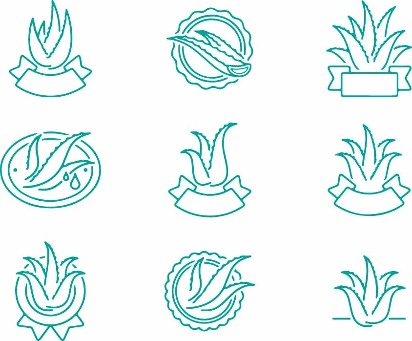 Organic Aloe Vera Succulent Leaves Pattern Free Vector