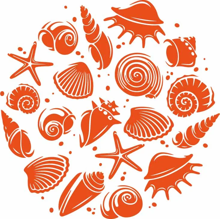 Ocean Seashells And Marine Starfish Clipart Free Vector