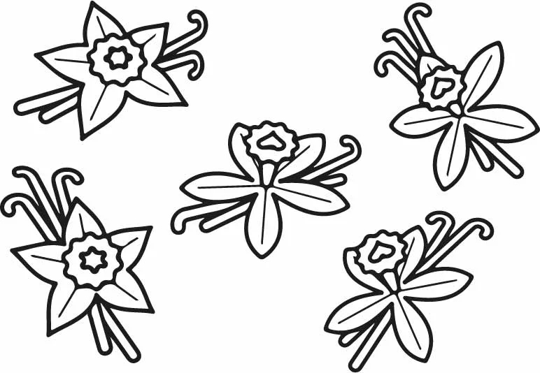 Botanical Vanilla Orchid Flowers And Pods Pattern Free Vector