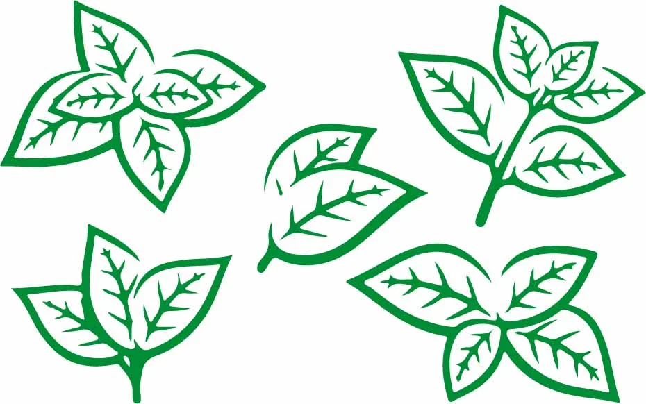 Fresh Green Tea Leaves Botanical Seamless Pattern Free Vector