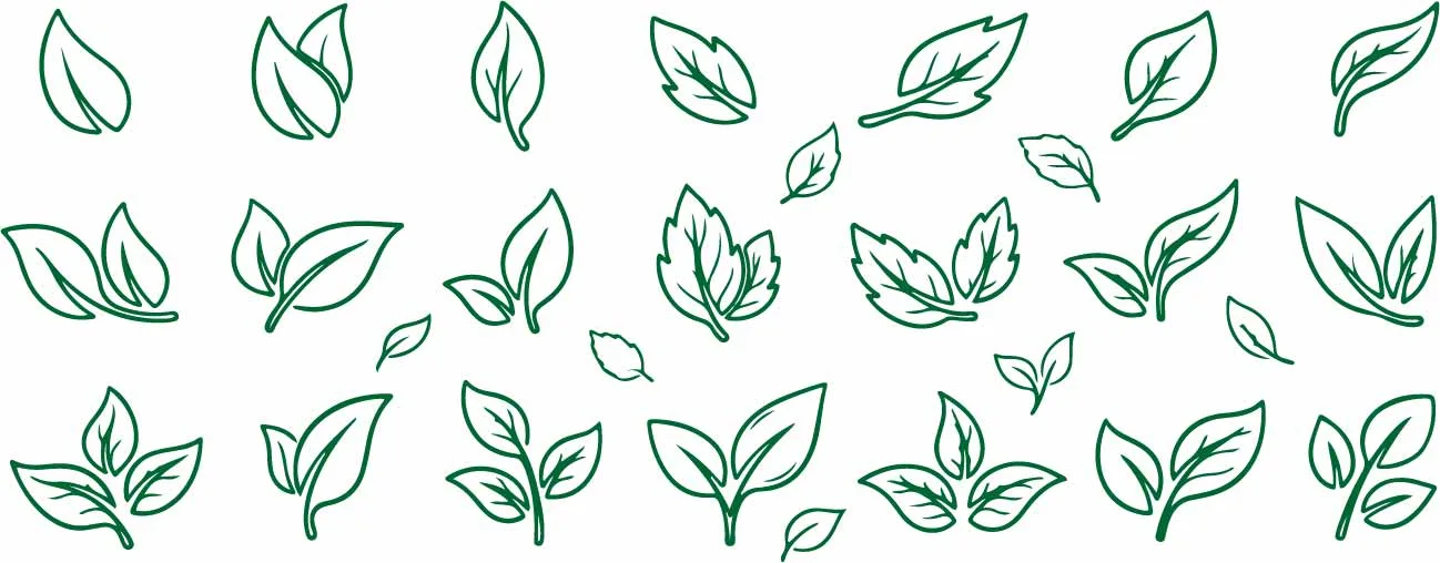 Green Tea Leaves Botanical Seamless Pattern Free Vector