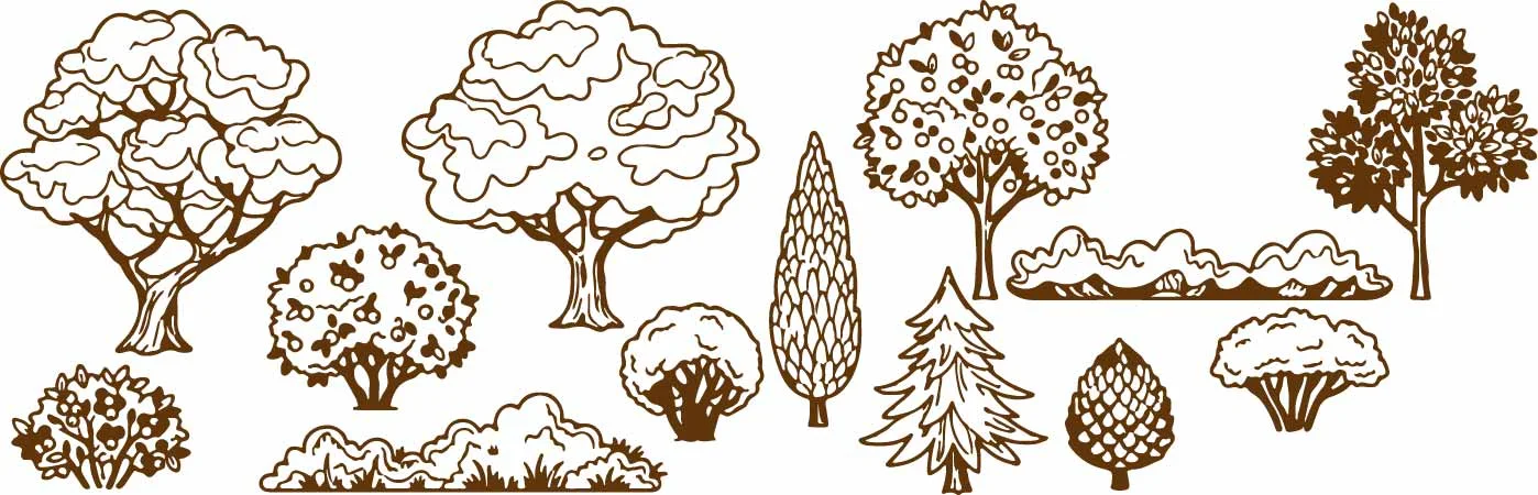 Vintage Forest Trees And Woodland Conifers Free Vector