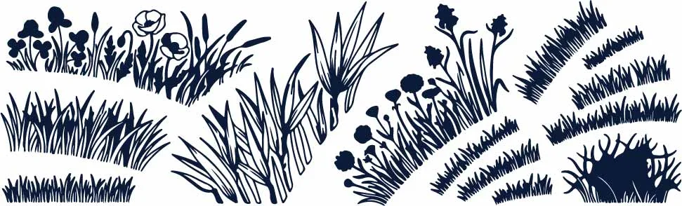 Botanical Wild Plants Reed Grass And Floral Foliage Doodles Free Vector