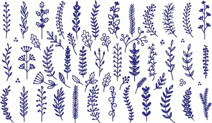 Botanical Herb Sprigs And Leaf Branch Line Art Doodles Free Vector