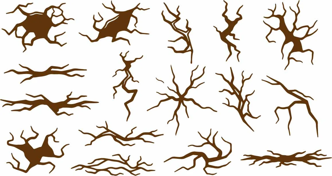 Woodland Tree Roots And Underground Bark Fissure Doodles Free Vector
