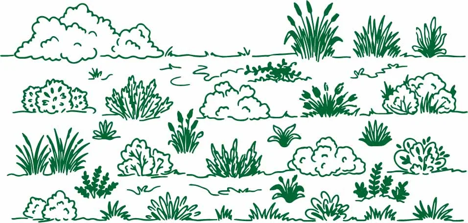 Outdoor Grass Shrubs And Bush Landscape Line Art Free Vector