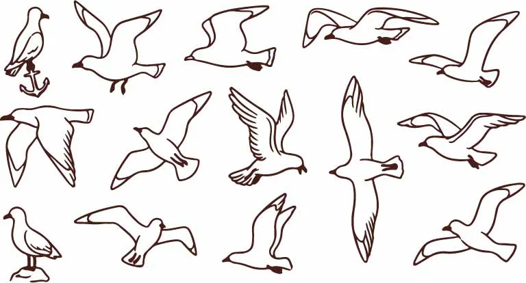 Flying Seagulls And Coastal Sea Birds Line Art Sketches Free Vector