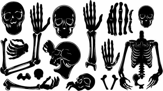 Gothic Human Skeleton Bones Free Vector Clipart Set