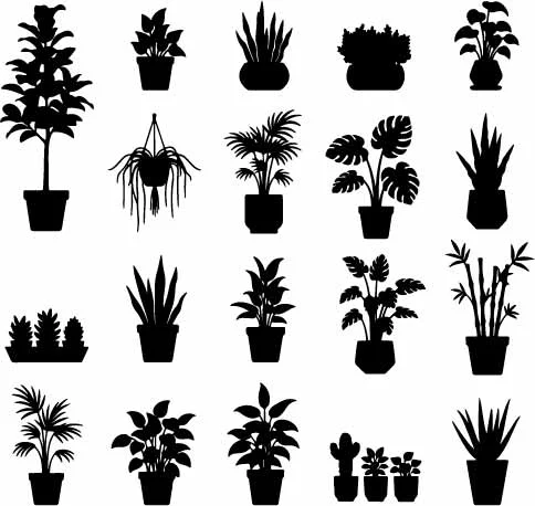 Indoor Potted Houseplants And Garden Greenery Silhouettes Free Vector