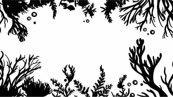 Botanical Herb Foliage Border Free Vector Graphic