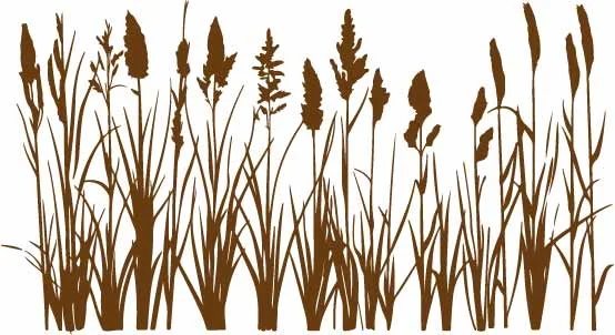Brown Wild Grass Wheat Stalks Free Vector Border