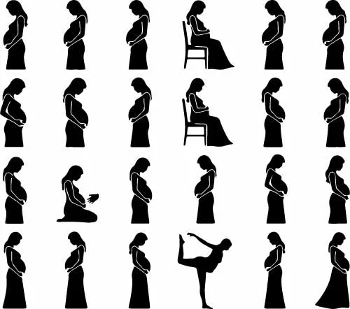 Pregnant Woman Maternity Poses And Motherhood Silhouettes Free Vector