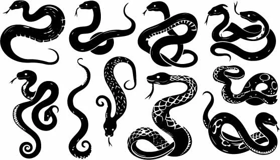 Coiled Snake Serpent Free Vector Seamless Pattern