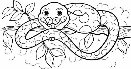 Cute Snake Jungle Vine Free Vector Coloring Page