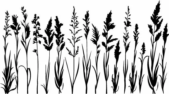Wild Grass Stems Silhouette Free Vector Art Pack