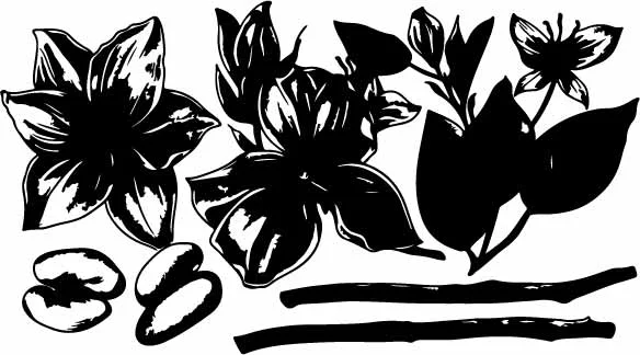 Graphic Botanical Petal Bloom Free Vector Pattern