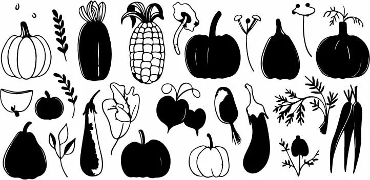 Autumn Harvest Vegetable Line Art And Silhouette Doodles Free Vector
