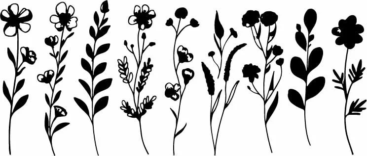 Delicate Wildflower Stems And Meadow Grass Silhouettes Free Vector