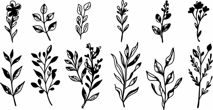 Hand Drawn Botanical Leaf Branches And Foliage Sprigs Free Vector