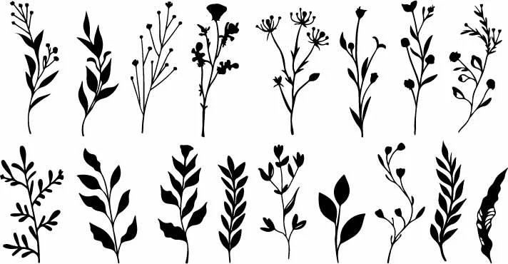 Delicate Wildflower Botanical Sprigs And Leaf Doodles Free Vector