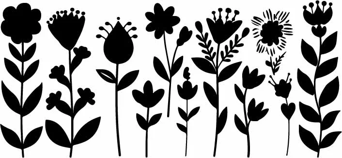 Meadow Wildflower Blossom Stems Botanical Silhouettes Free Vector