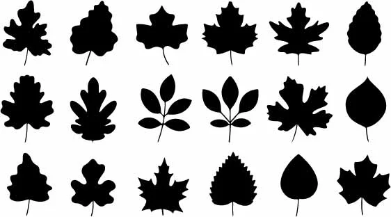 Assorted Forest Tree Leaves Free Vector Silhouettes