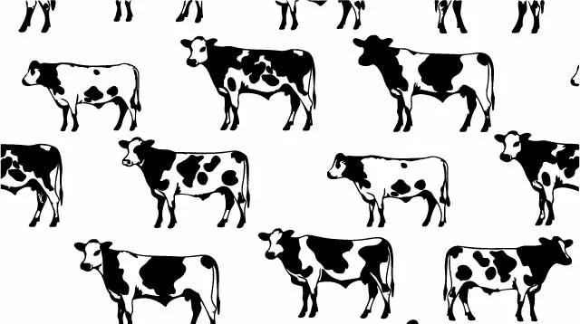 Farm Dairy Cows Grazing Line Art Pattern Sketches Free Vector