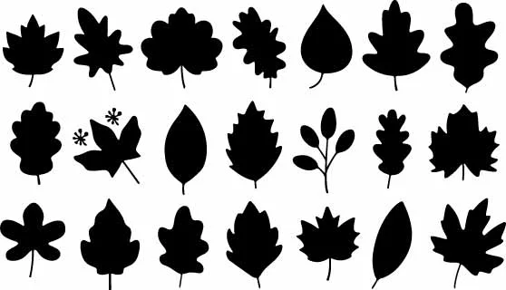Autumn Tree Leaves Silhouette Free Vector Set