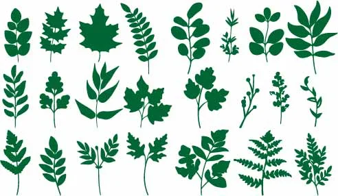 Green Fern Leaves And Botanical Branch Silhouettes Free Vector
