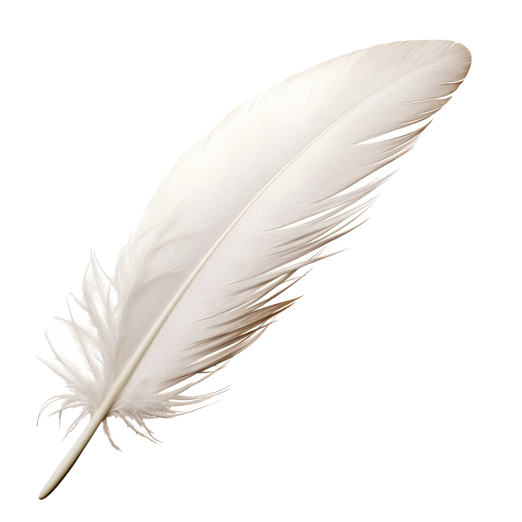 Single White Fluffy Bird Feather Cutout Free PNG