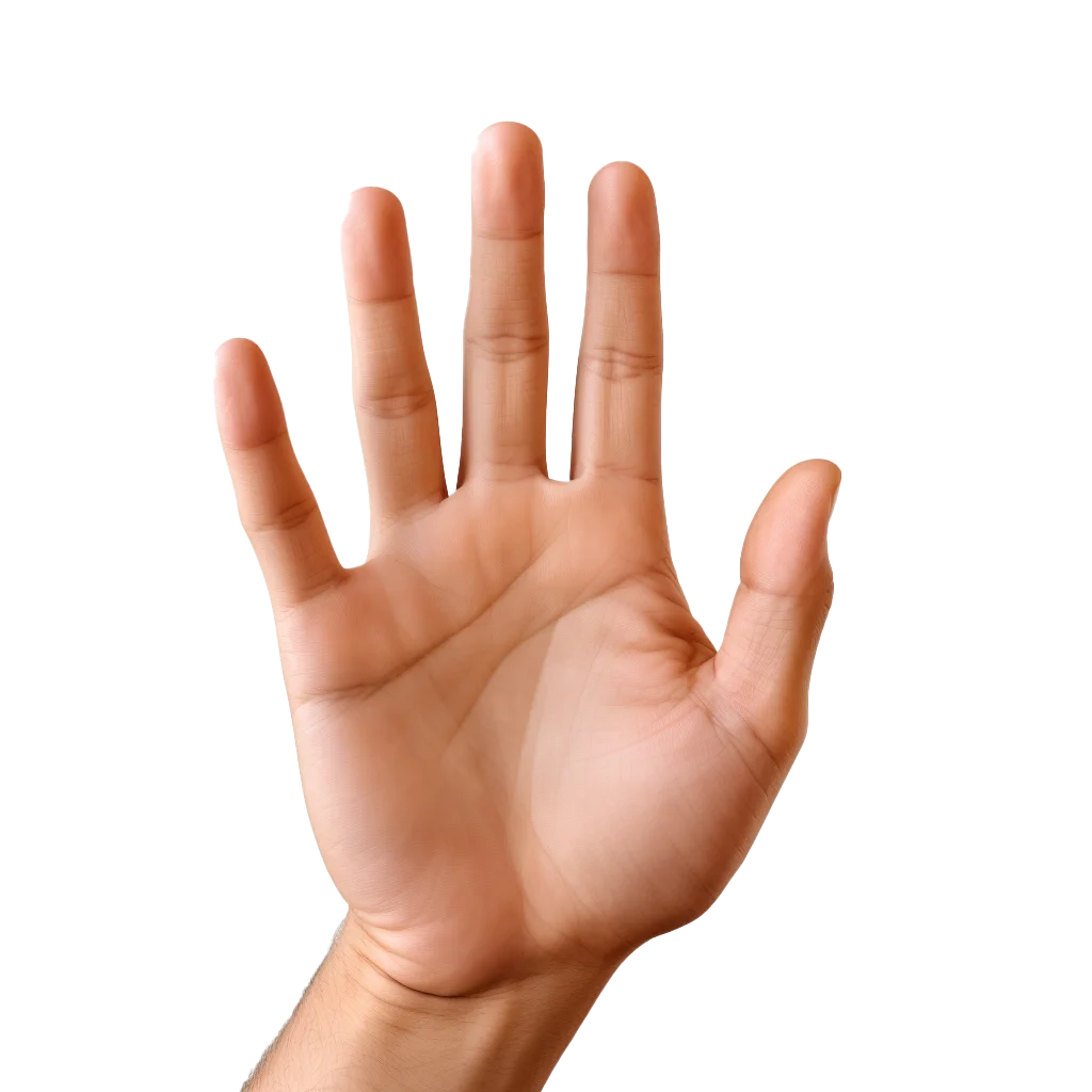 Front View Open Human Palm Showing Five Fingers Free PNG