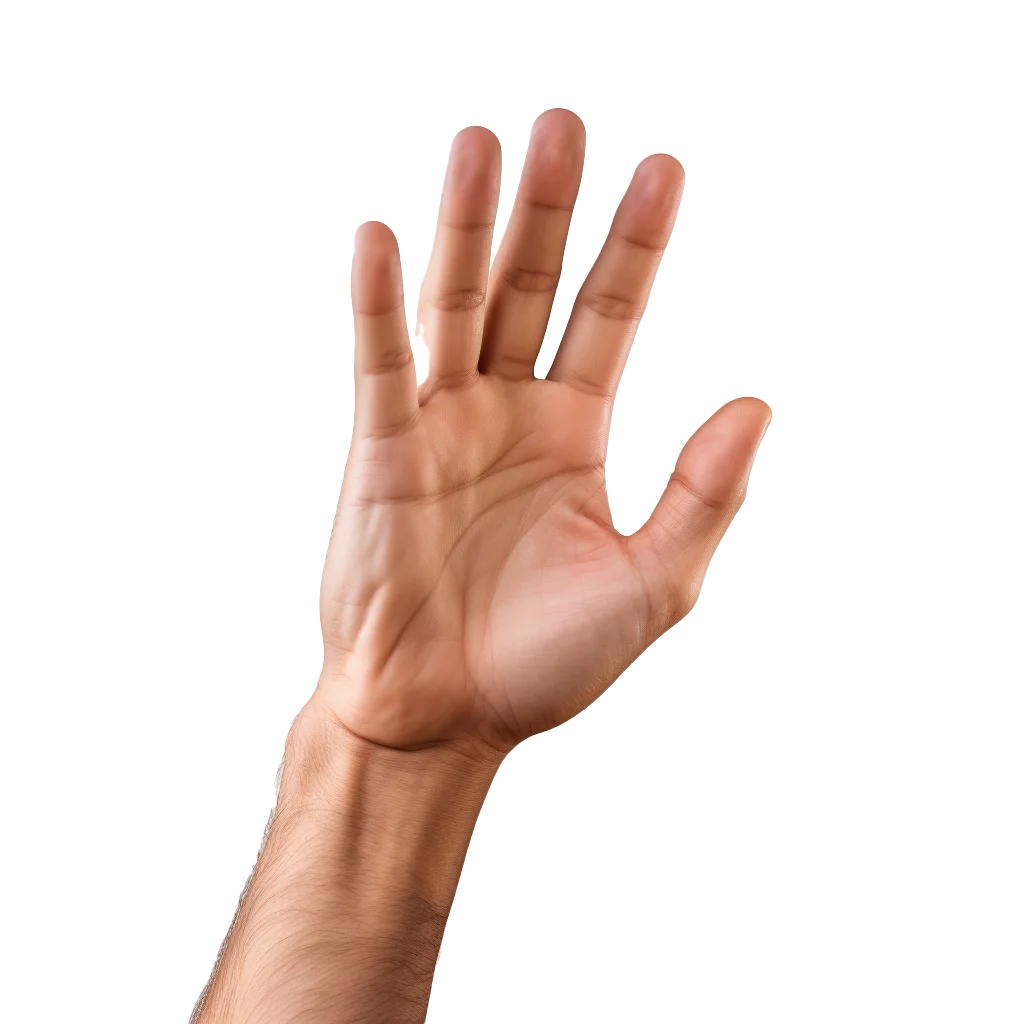 Open Palm Upward Hand Gesture Spread Fingers Cutout Free PNG