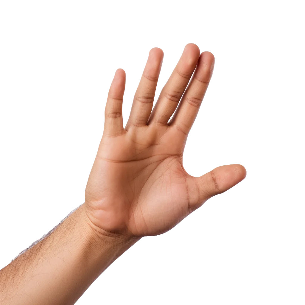 Human Hand Extended Open Palm Showing Spread Fingers Free PNG