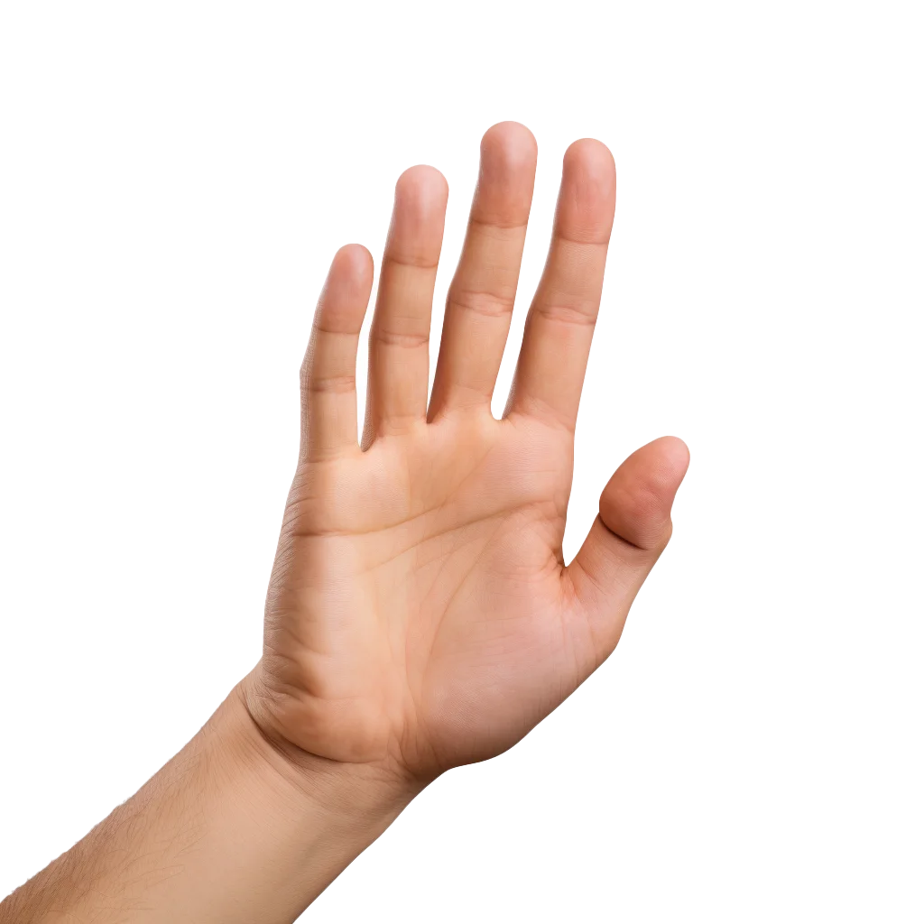 Raised Hand Showing Open Palm Gesture Five Fingers Free PNG