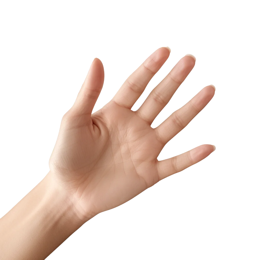 Female Hand Reaching Forward Open Palm Cutout Free PNG