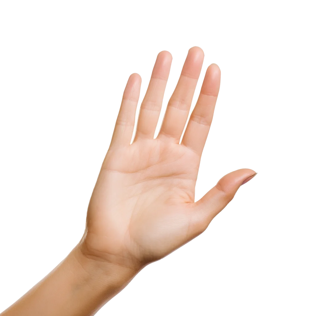 Raised Open Female Hand Palm Gesture Cutout Free PNG