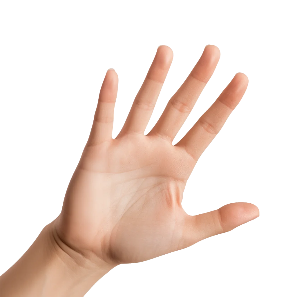 Open Female Hand Showing Five Fingers Palm Up Free PNG