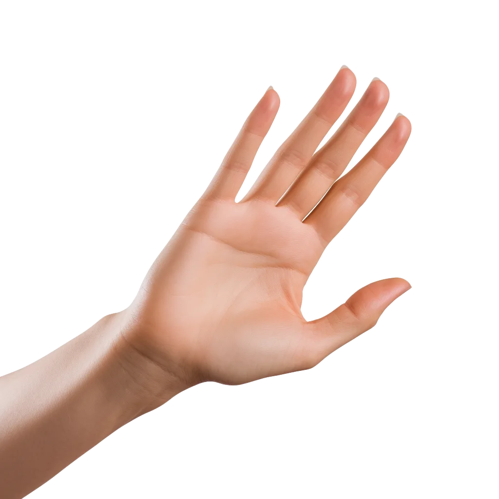Reaching Female Hand Open Fingers Palm Model Free PNG