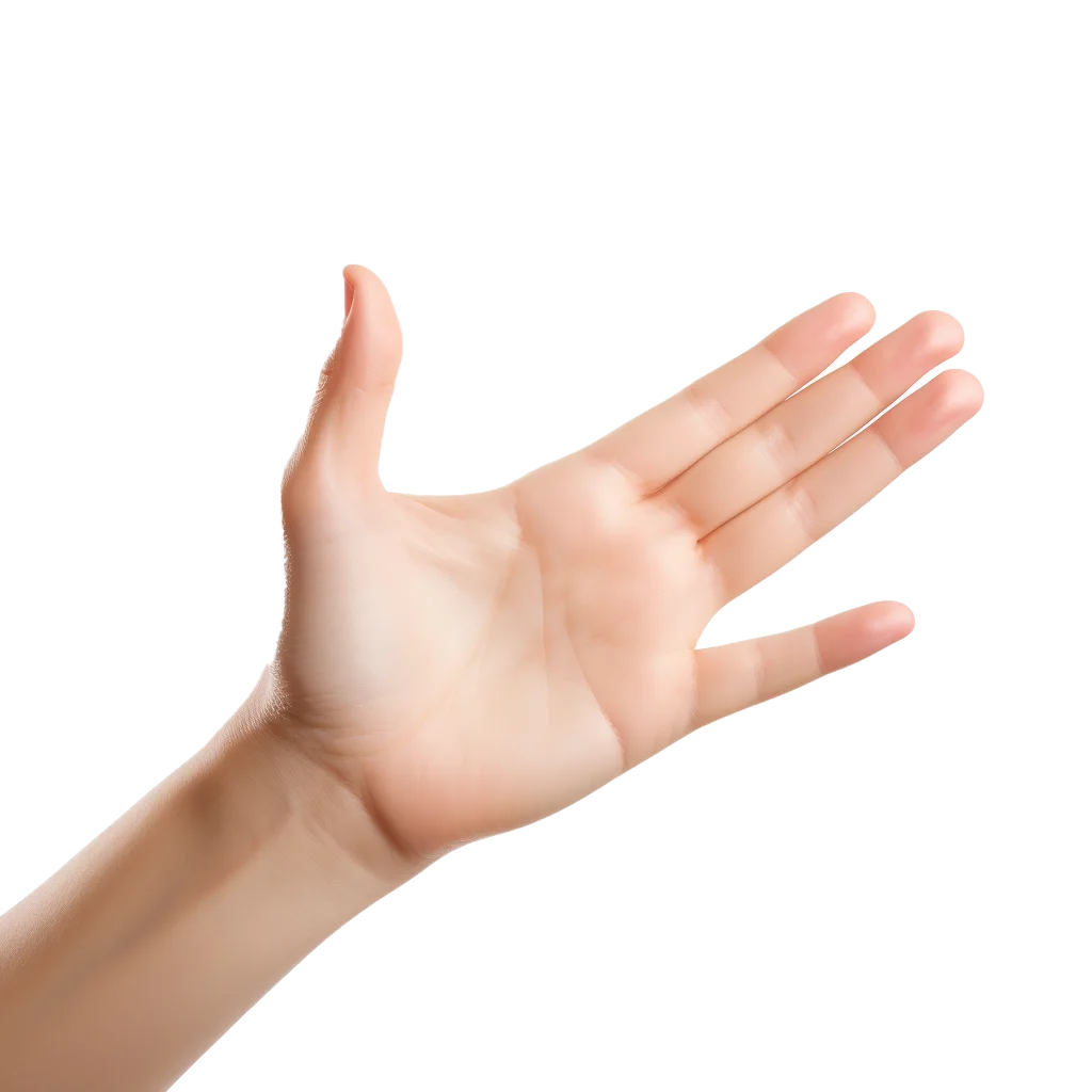 Smooth Female Palm And Hand Showing Fingers Free PNG