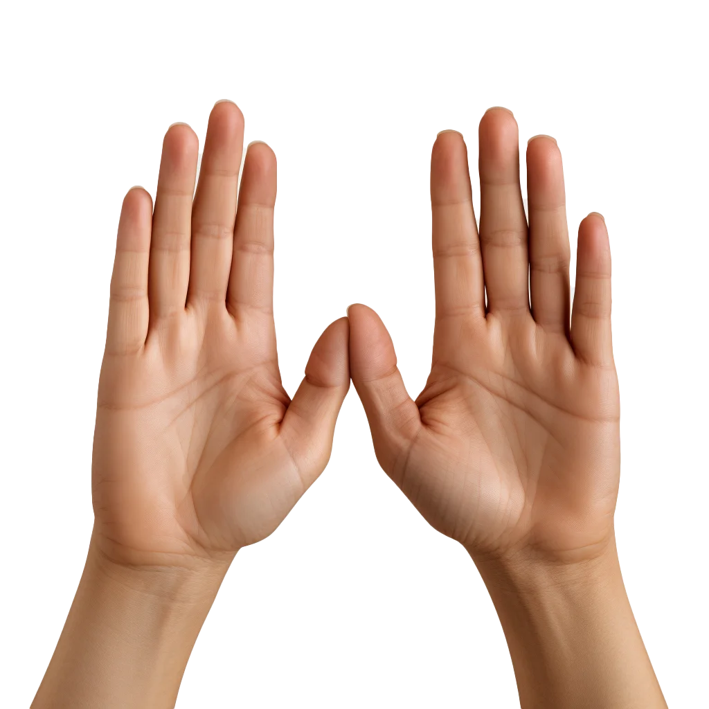 Two Raised Hands Open Palms Gesturing Five Fingers Free PNG
