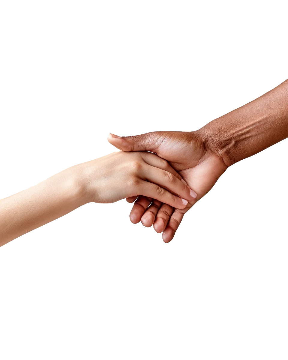 Tender Hands Holding In Loving Romantic Clasp Cutout Free PNG